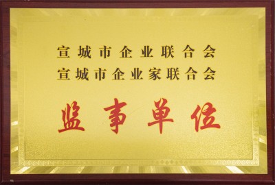 宣城市企業(yè)聯(lián)合會、聯(lián)合會監(jiān)事單位